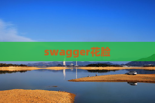 swagger花脸 swagger花脸